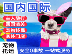 宜昌三峡航空快运国际宠物托运 【国